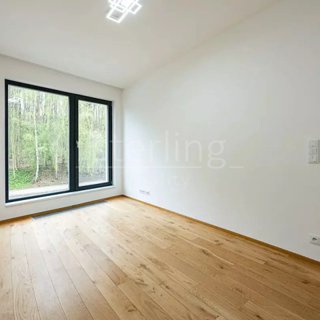 13728_4389146274.jpg