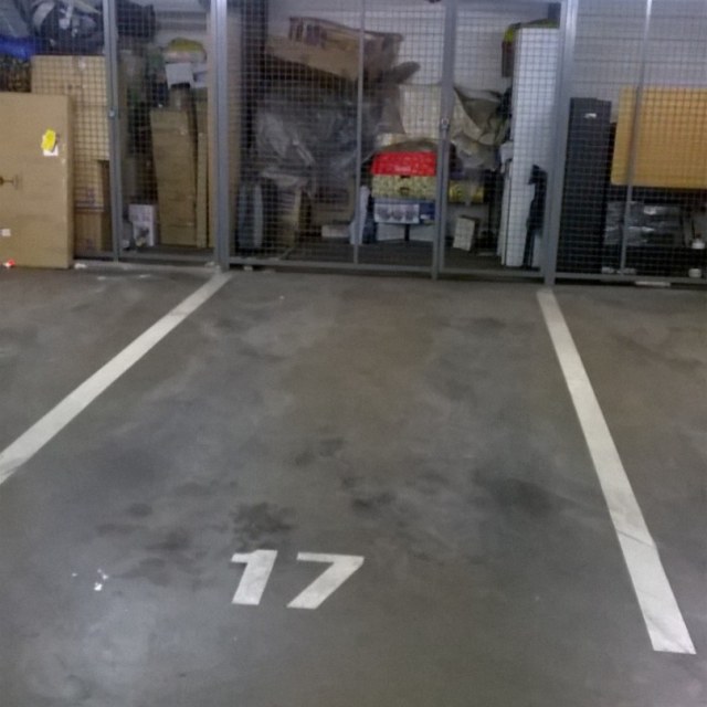 13731_3789653313.jpg