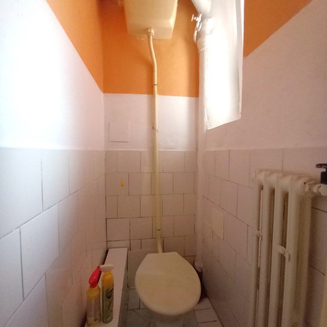 13765_4626168912.jpg