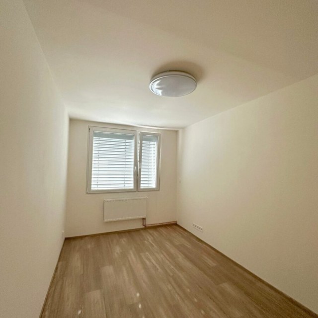 13827_5014440309.jpg